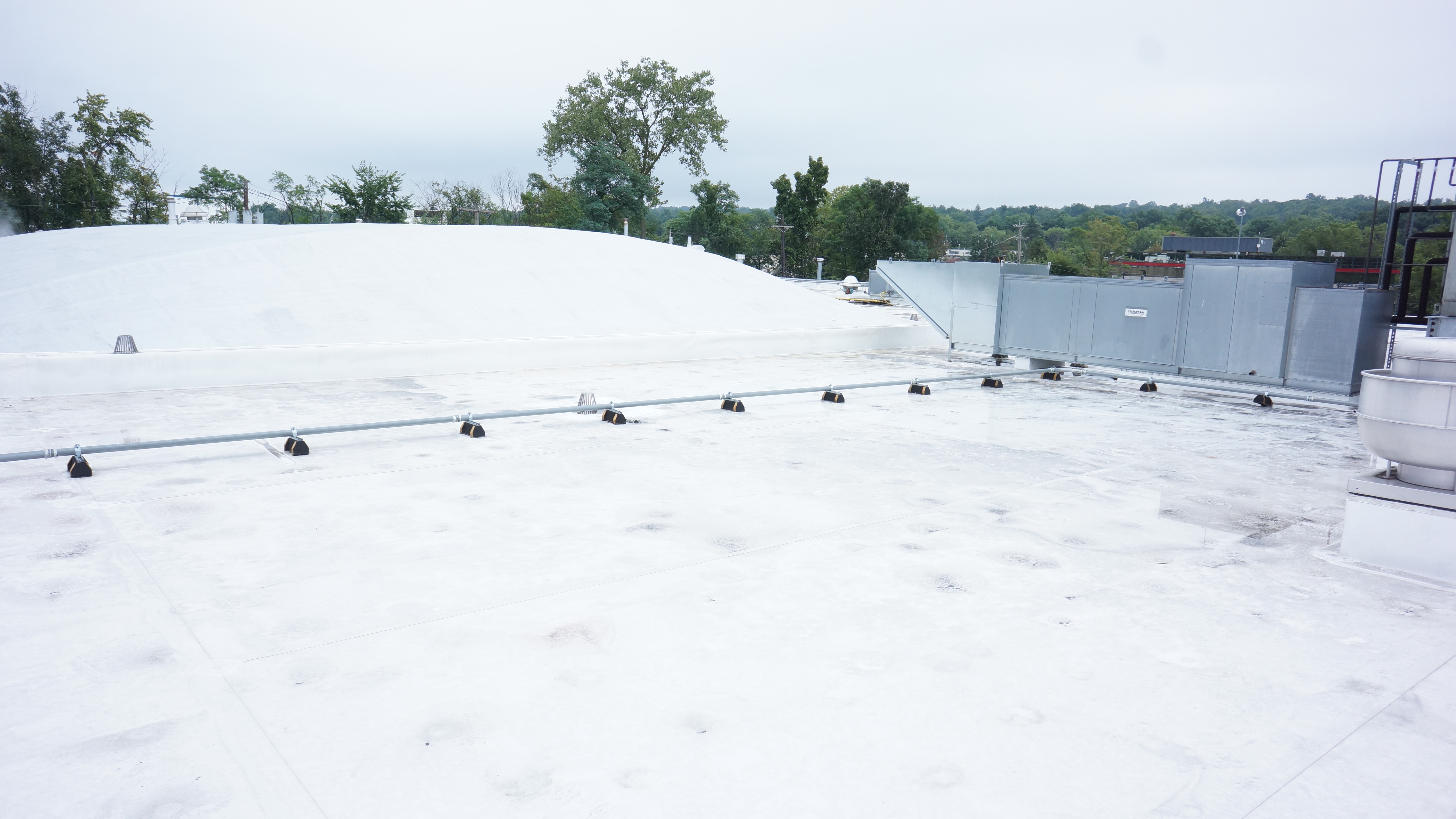 White roof 2